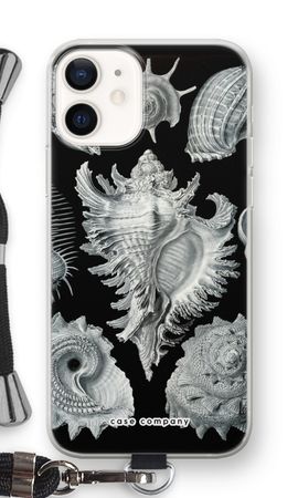 Haeckel Prosobranchia