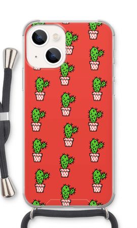 Mini cactus