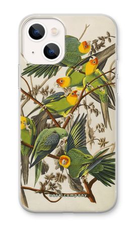 Carolina Parrot