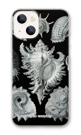 Haeckel Prosobranchia