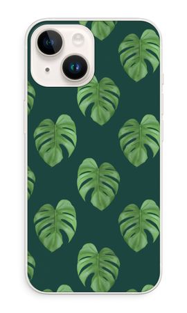 Monstera leaves