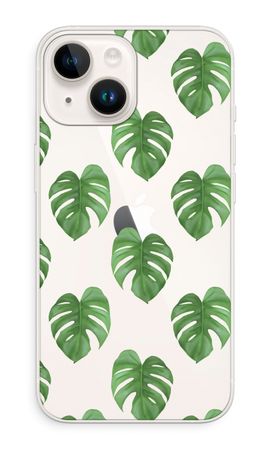 Monstera leaves