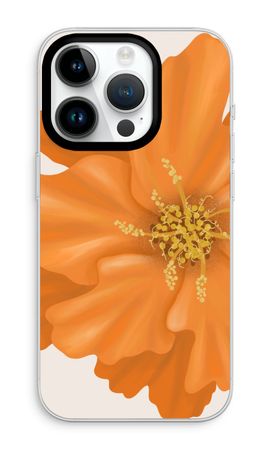 Orange Ellila flower