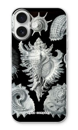 Haeckel Prosobranchia