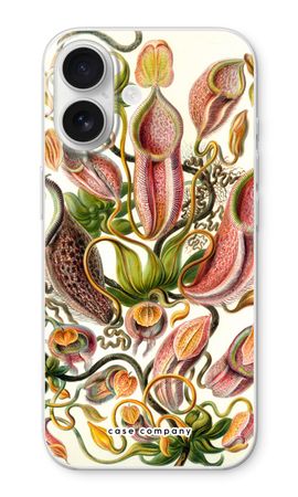 Haeckel Nepenthaceae