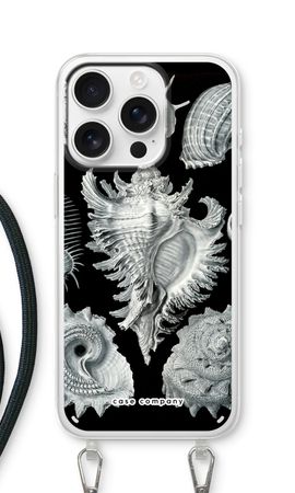 Haeckel Prosobranchia