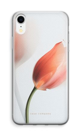 Tulip