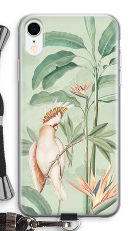 Perroquet tropical