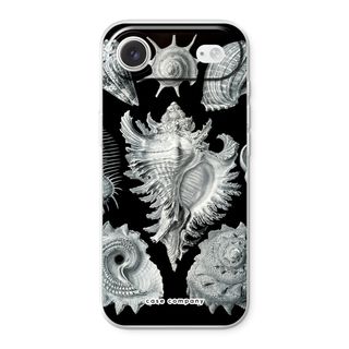 Haeckel Prosobranchia