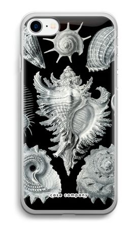 Haeckel Prosobranchia