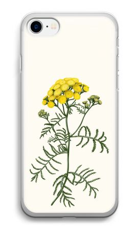 Tansy