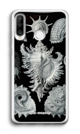 Haeckel Prosobranchia