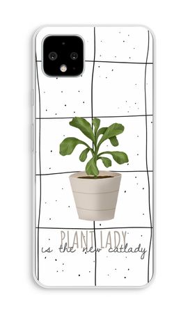 Houseplant on windowpane