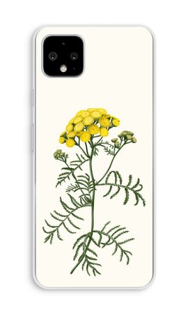 Tansy