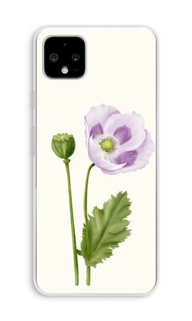 Purple poppy
