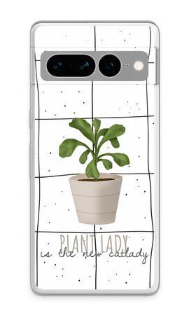 Houseplant on windowpane