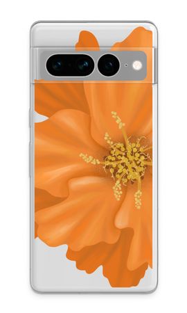 Orange Ellila flower