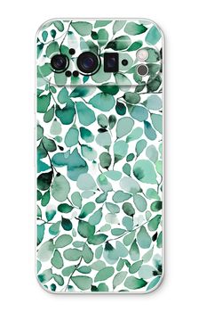 Eucalyptus à feuilles