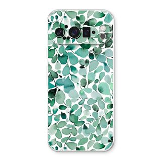 Eucalyptus à feuilles