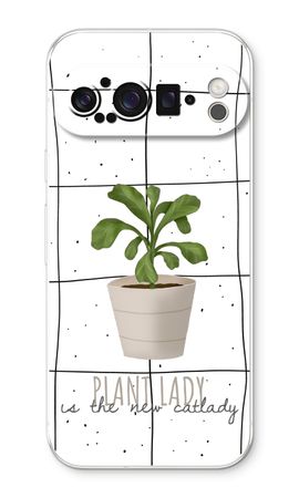 Houseplant on windowpane