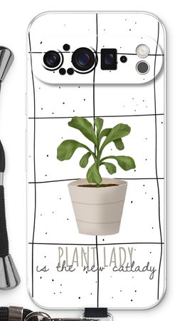 Houseplant on windowpane