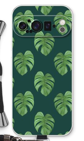 Monstera leaves