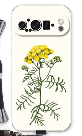 Tansy