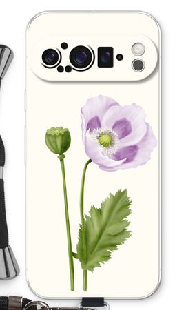 Purple poppy