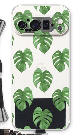 Monstera leaves