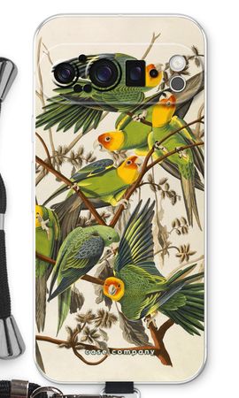 Carolina Parrot