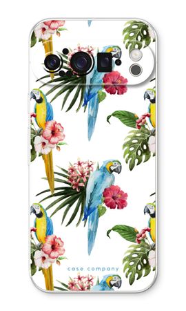 Colourful parrots