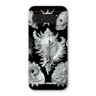 Haeckel Prosobranchia