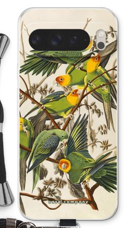Carolina Parrot