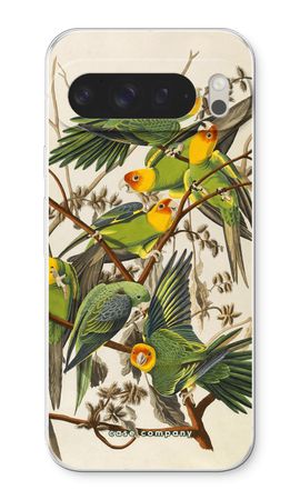 Carolina Parrot