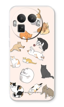 Cats