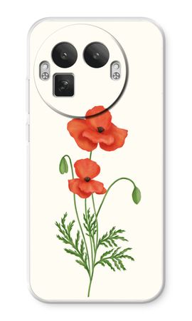 Red poppy