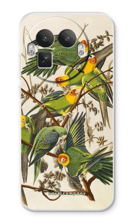 Carolina Parrot