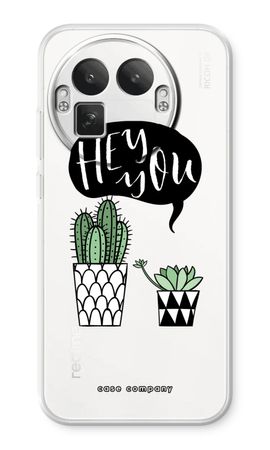 Hey you cactus
