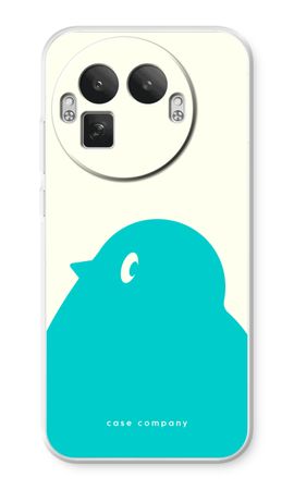 BIG Robin 1
