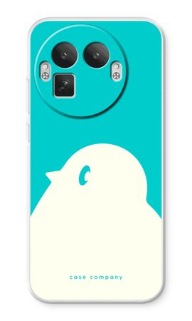 BIG Robin 2