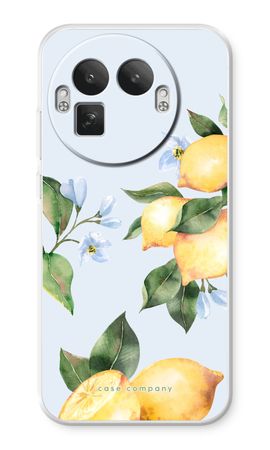 Orchard Sun