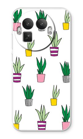 Sanseveria