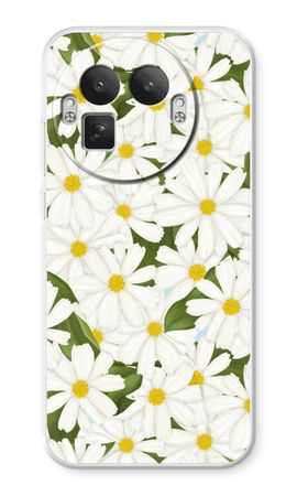 Summer Daisies