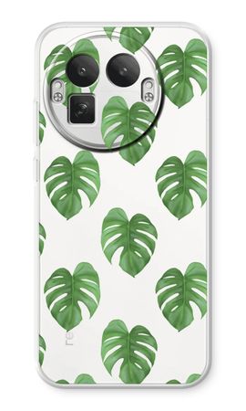 Monstera leaves
