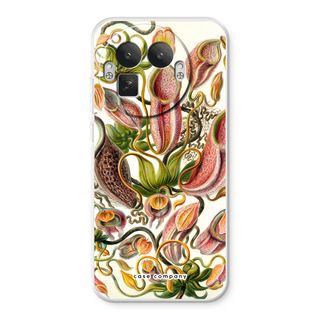 Haeckel Nepenthaceae