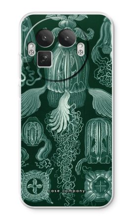 Haeckel Cubomedusae