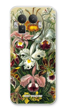 Haeckel Orchidae