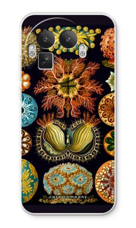 Haeckel Ascidiae