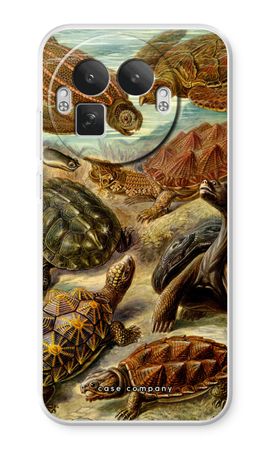 Haeckel Chelonia
