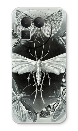 Haeckel Tineida